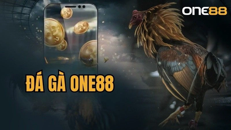 Đá gà online là hình thức cá cược theo dõi chọi gà trực tiếp trên Internet