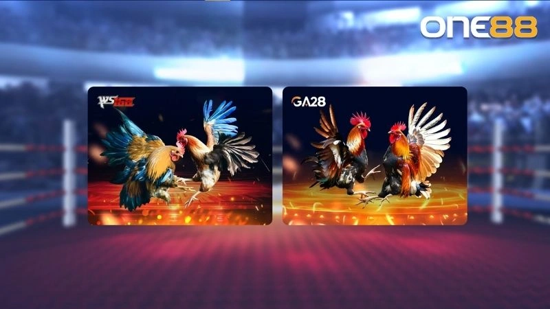 WS168 cung cấp nhiều loại hình đấu gà hấp dẫn