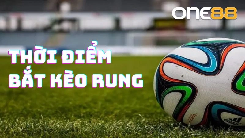 Thời điểm thích hợp để bắt kèo rung