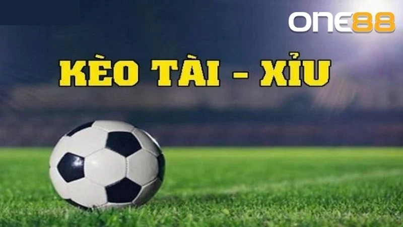 Theo dõi sát sao đội hình và phong độ đội bóng