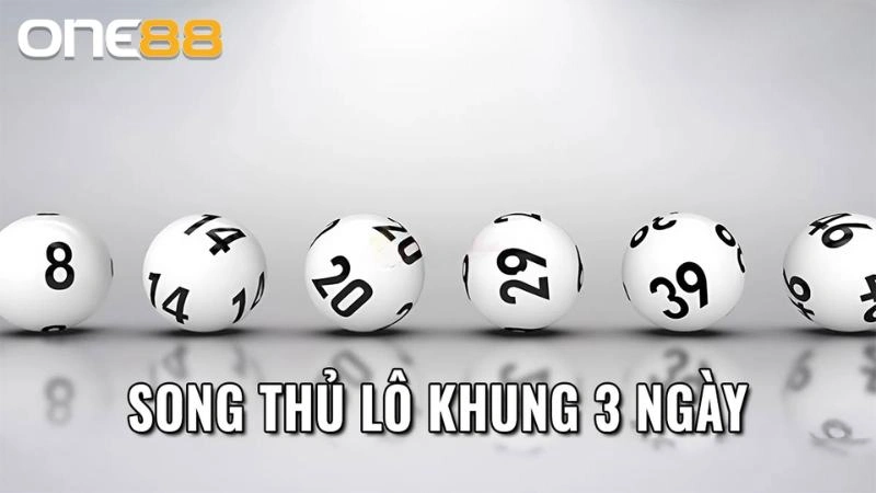 Giới thiệu về nuôi lô song thủ khung 3 ngày tại nhà cái